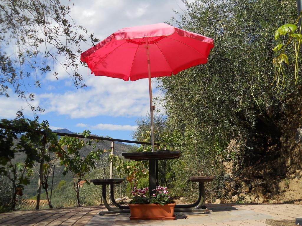 Lo Scoiattolo Farm stay *
